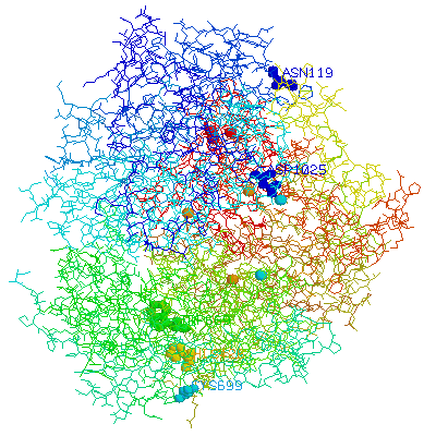 ceruloplasmin.protein