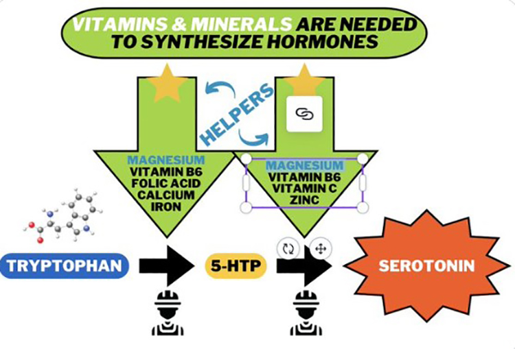 walsh protocol supplements