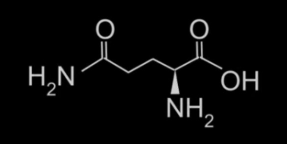 s-methylmethionine supplements vitamin U ulcer therapy